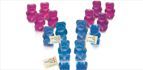 csm_0215-901-main.img_e639687b63.png